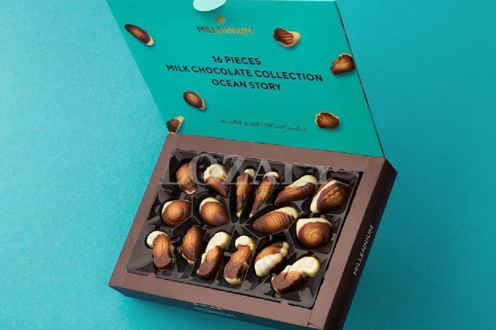 Millennium Ocean Story Collection - 16 Chocolate Shells with Hazelnut Praline in GiftPack, 170 Gr