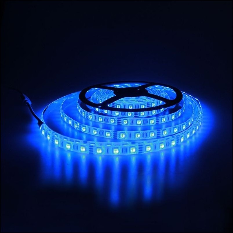 5M LED Light Strip Waterproof with 12V Remote Control 5050RGB Colors