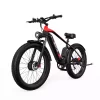 DUOTTS F26 Electric Bicycle 20AH LG Battery 48V 1500W Men's Mountain Bike 26*4.0 Fat Tire Electric Bike, Silver