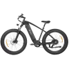 DYU King 750 26 Inch 48V 750W 45KM/H Mountain Electric Bike