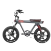 DYU V8 20 Inch 48V 750W 45KM/H 15.5AH Electric Bike