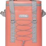 RTIC Backpack Cooler Insulated Portable Soft Cooler Bag Waterproof for Ice, Lunch, Beach, Drink, Beverage, Travel, Camping, Picnic, Car, Hiking - Gray