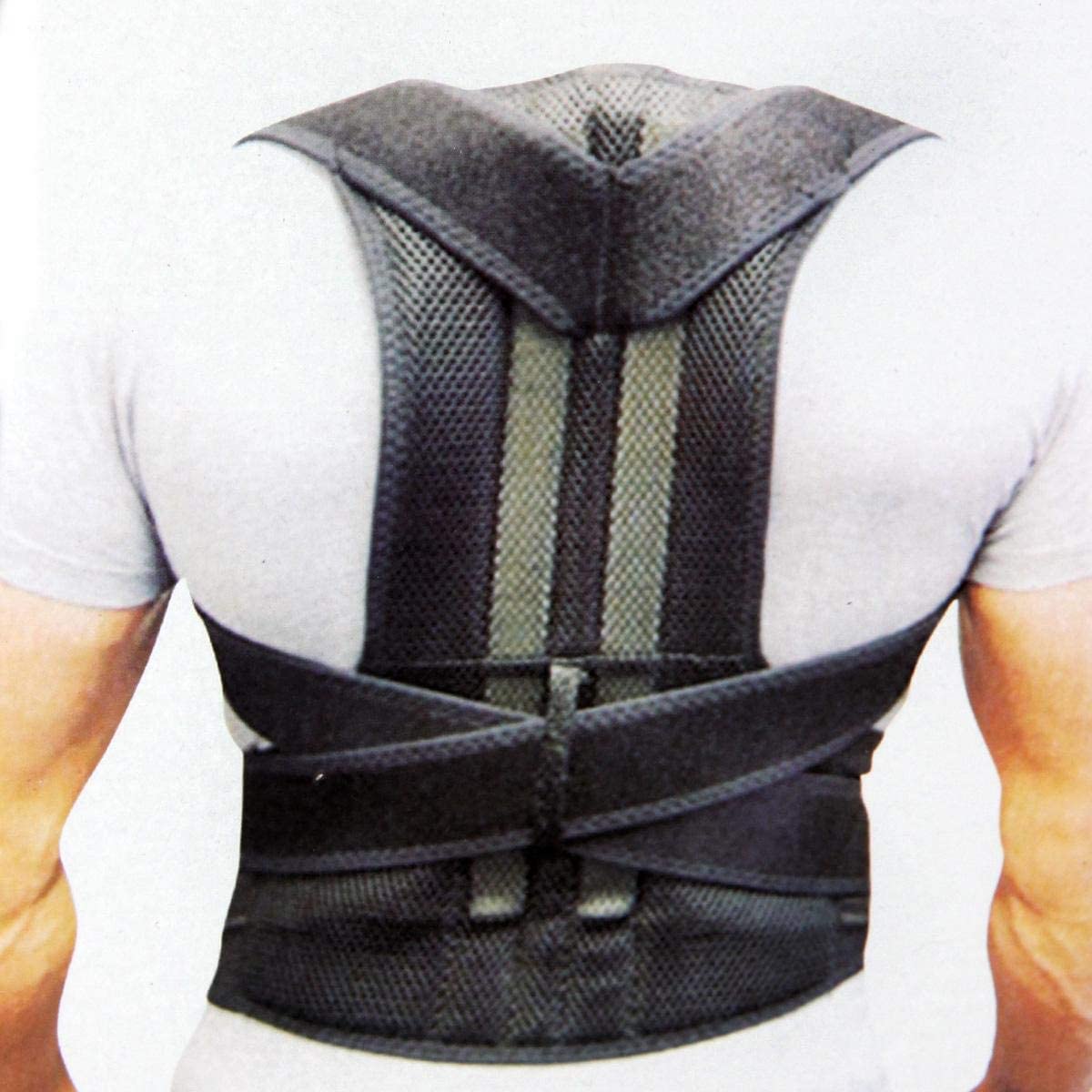 Magnetic corset belt and supportive for the back and dilute back pain