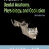 Wheeler's Dental Anatomy, Physiology And Occlusion 9Th Ed