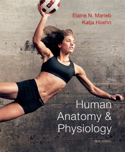 Human Anatomy & Physiology by Elaine N. Marieb (Author), Katja Hoehn (Author)