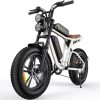 ENGWE M20 Ebikes for Adults - 750W Motor 4.0 * 20" Fat Tire Offroad Cruiser E Motorcycle 28MPH 94Miles Long Range for 48V26A Dual Battery Option,Full Suspension UL Certified