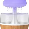 Rain Cloud Humidifier