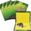 Rat Trap