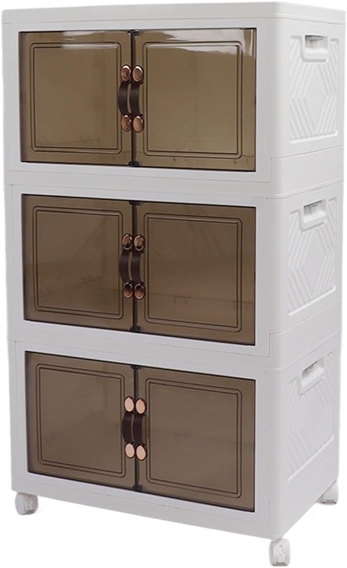 Closet Organizers and Storage Bins with Lids and Wheels