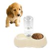 Pumpkin Shape Dog Cat Food Dish + Drinking Water Double Bowls with Automatic Water Dispenser, Size: L