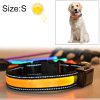 Medium and Large Dog Pet Solar + USB Charging LED Light Collar, Neck Circumference Size: S, 35-40cm