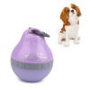 Pets Go Out Portable Folding Kettle Drinking Fountain Drinking Supplies