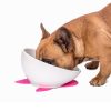 Pet Dog Ceramic Universal Non-slip Food Bowl Feeder