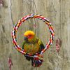 Pet Bird Bite-resistant Cotton Rope Swing Ring Toy Climbing Ring