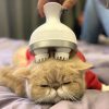 iKristin IK-T1 USB Charging Multi-function Household Pet Head Massager Manual Scalp Electric Massage Claw