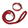 Dog Leash Braided Belt Pet Explosion-Proof Leash, Size: