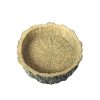 Little Red Food Bowl Reptile Water Food Basin Turtle Lizard Snake Water Basin