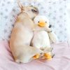 Hoopet Dog Biting Toy Pet Plush Duckling Sound Toy