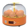 6-Eggs Small Household Experimental Children Smart Chicken Incubators