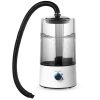 4L Reptile Humidifier Fogger Cool Mist Fog Mister with Tube for Tortoise Habita
