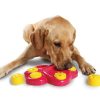 Pet Choke Slow Food Bowl Fun Treasure Hunting Pet Educational Toys