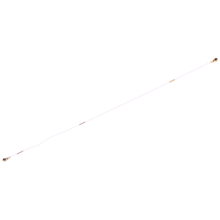 SP2817_2.jpg
