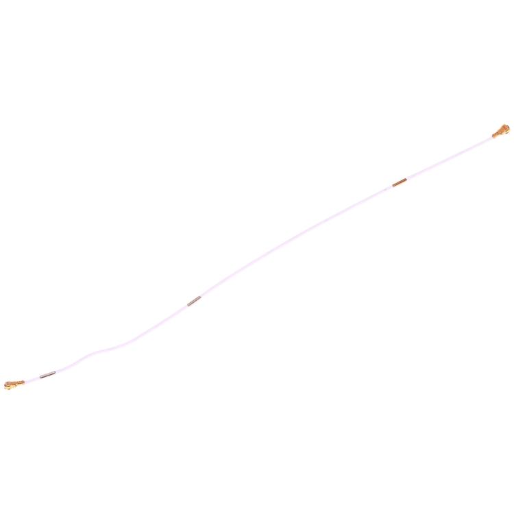 SP2817_3.jpg