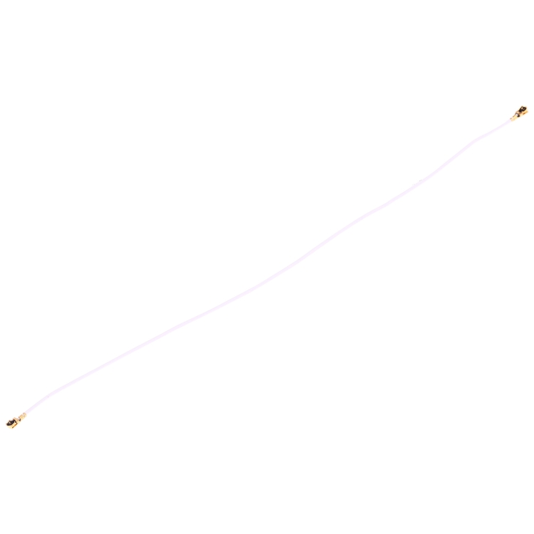 SP2824_2.jpg