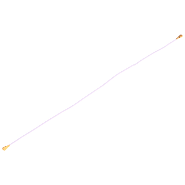 SP2824_3.jpg