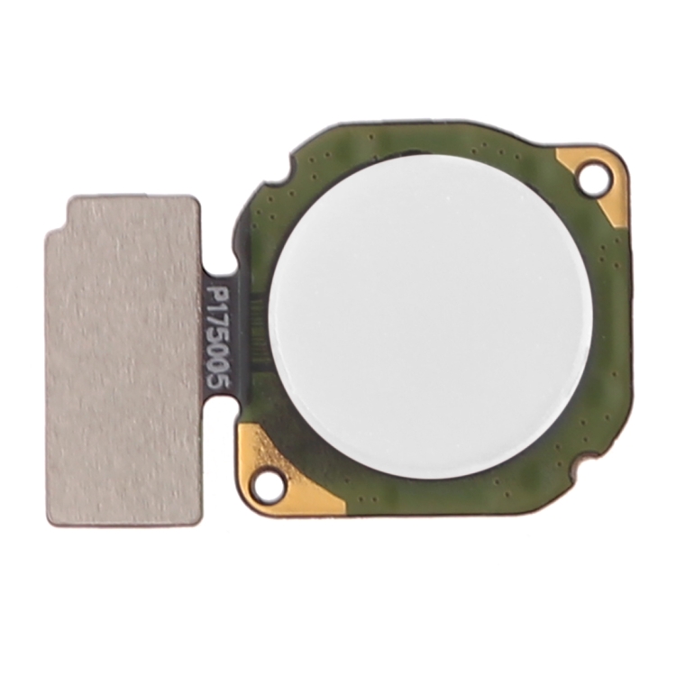SP8561W.jpg