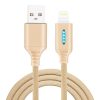 Intelligent automatic Power off charging Line for Zinc Alloy for luminous data Line of Apple running Lamp