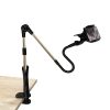 Two-Section Arm Mobile Phone Stand Bedside Desktop Lazy Stand