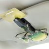 LIWEN LW-1607 Vehicle Mounted Glasses Clip