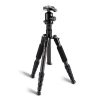 TRIOPO T259G+Q2 Adjustable Portable Carbon Fiber Tripod with Q-2 Ball Head for SLR Camera