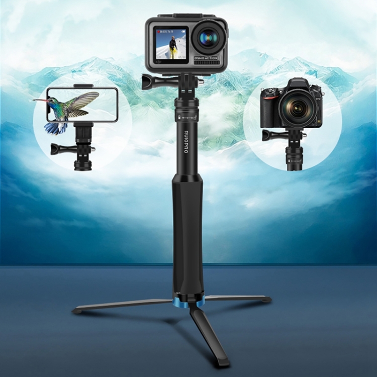 DOP0062B_12.jpg