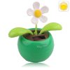 Solar Flip Flap Flower, Random Flower Color Delivery
