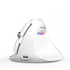 DELUX M618Mini Colorful Wireless Luminous Vertical Mouse Bluetooth Rechargeable Vertical Mouse