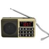Y-928 FM Radio LED Display MP3 Support  TF Card U Disk