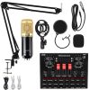 Audio Condenser Mic Studio Singing Microphone