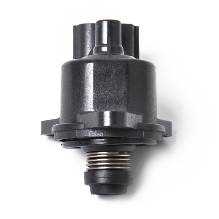 CMS0737_2.jpg