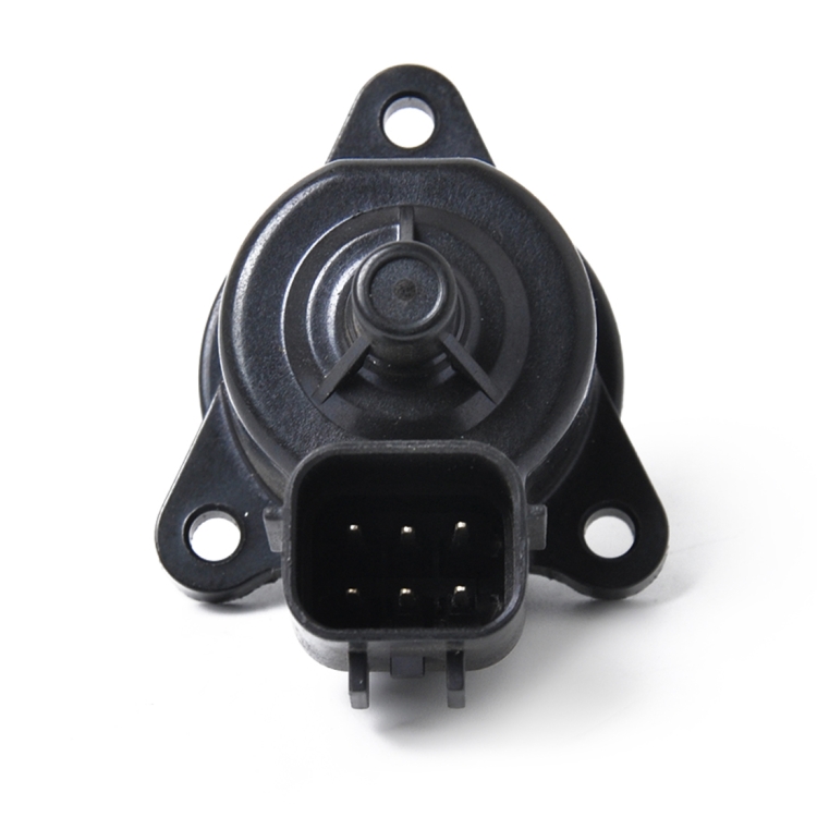 CMS0737_3.jpg