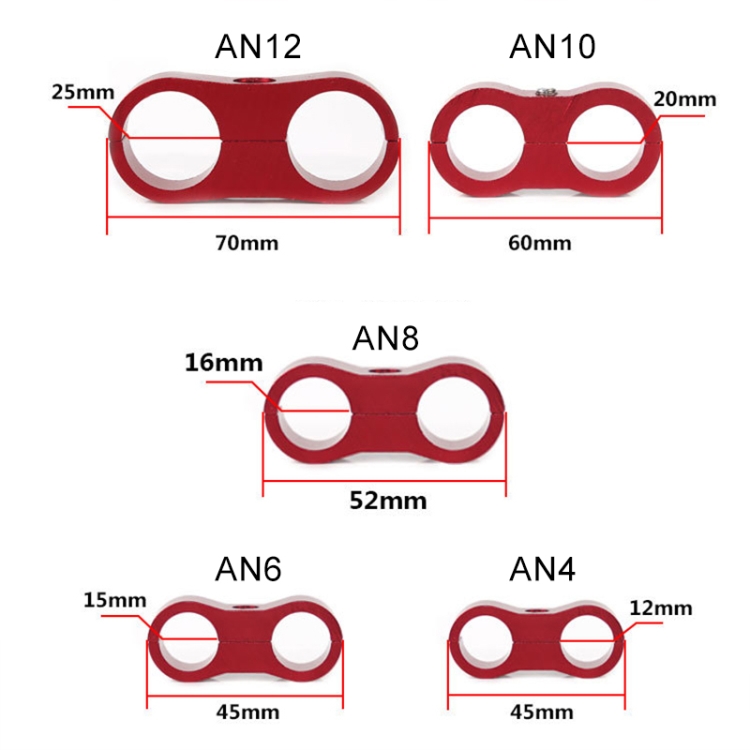 CMS25012_4.jpg