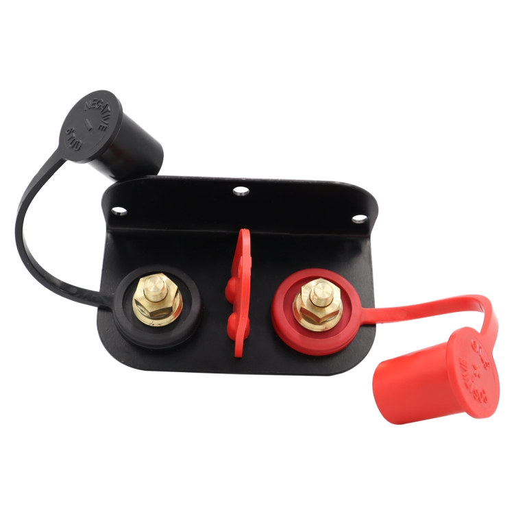 EDA0049833_3.jpg