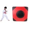 Two-color Imitation Leather Square Thickened Boxing Training Wall Target
