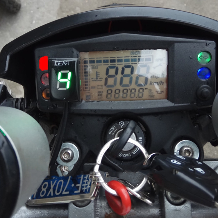 TBD0601963301_B6.jpg