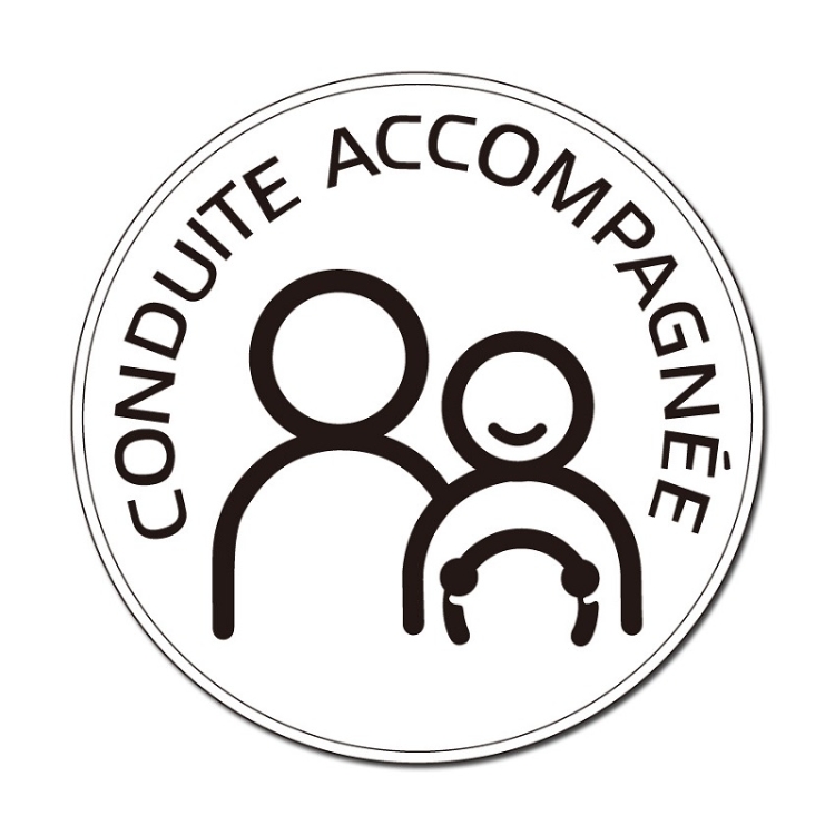 20 PCS Dual People Waterproof And Sun Protection Magnetic Car Sticker