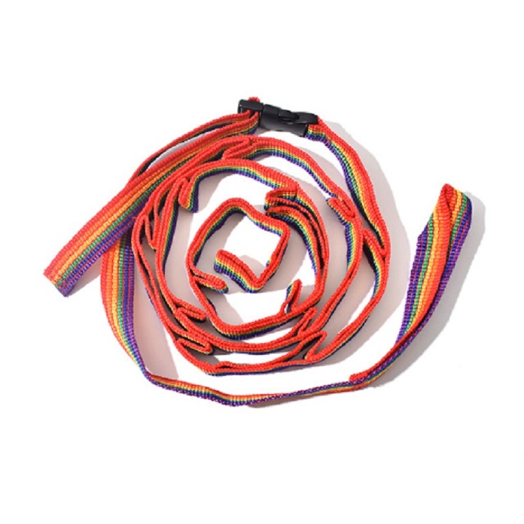 Multipurpose Colorful Tent Lanyard Tent Rope Cord for Outdoor Camping  Accessories, Length: 190cm
