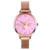 Skmei 9212 Fashion Lady Quartz Watch Student Female Temperament Waterproof Magnetic Suction Net Belt Watch