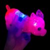 Cute LED Luminous Music Electronic Pet Children Educational Toys, Random Color