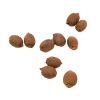 10 PCS 1:12  Mini House Toy Fruit Simulation Kiwi Kitchen Accessory Mini House Toy